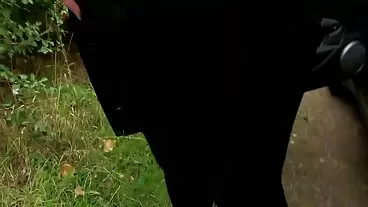 אחים חורגים מבריקים אורגיית מסיבת סרטי סקס ארוכים חינם חליפת חתול