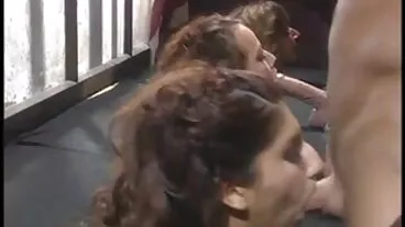 אישה צעירה עם ציצים טבעיים צריכה קצת סרט סקס חינם סקס בבוקר